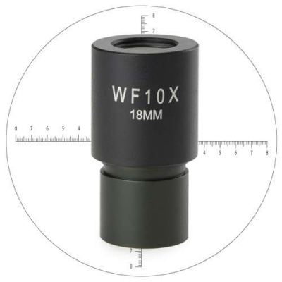 Oculaire EUROMEX WF10x/18 mm avec échelle micrométrique