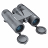 Jumelles BUSHNELL Prime 8x32